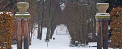 Bad Pyrmont im Schnee - 25. Januar 2013